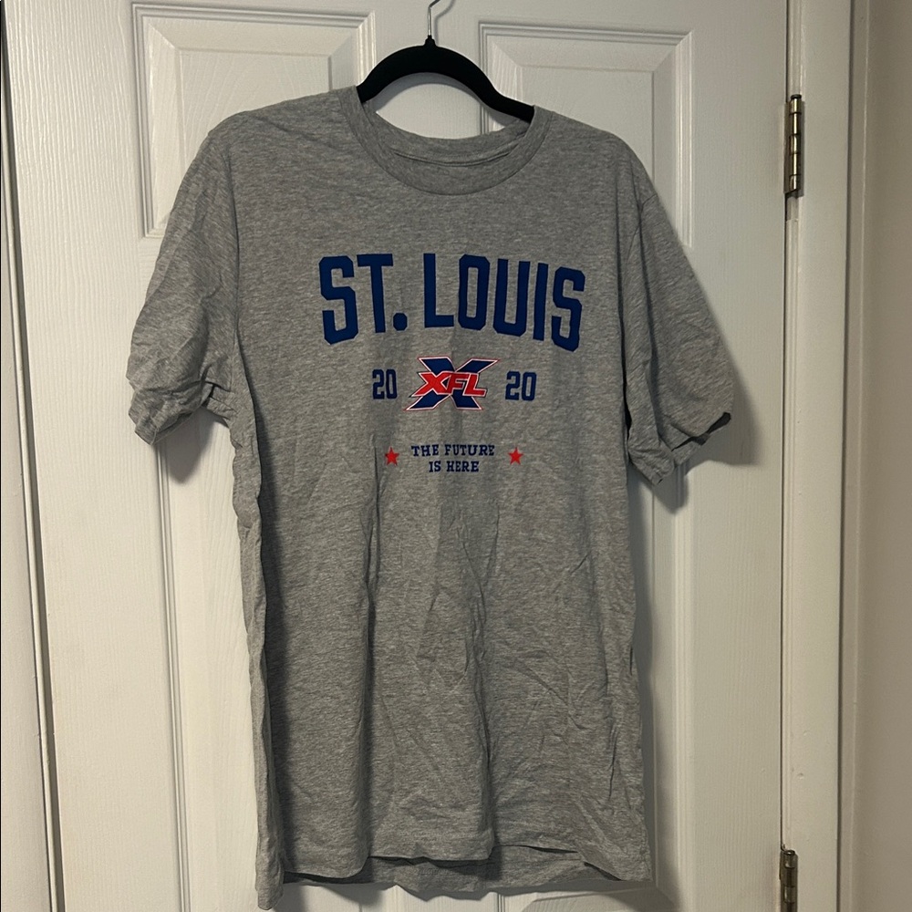 St. Louis Graphic Tee in Gray
